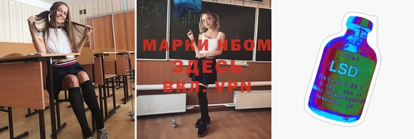 ГАЛЛЮЦИНОГЕННЫЕ ГРИБЫ Михайлов